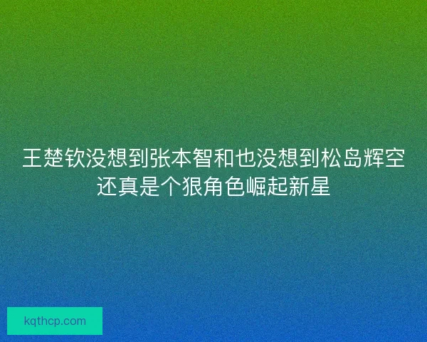 王楚钦没想到张本智和也没想到松岛辉空还真是个狠角色崛起新星 王楚钦没想到张本智和也没想到松岛辉空还真是个狠角色崛起新星