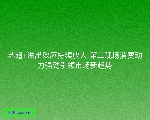 苏超+溢出效应持续放大 第二现场消费动力强劲引领市场新趋势 苏超+溢出效应持续放大 第二现场消费动力强劲引领市场新趋势